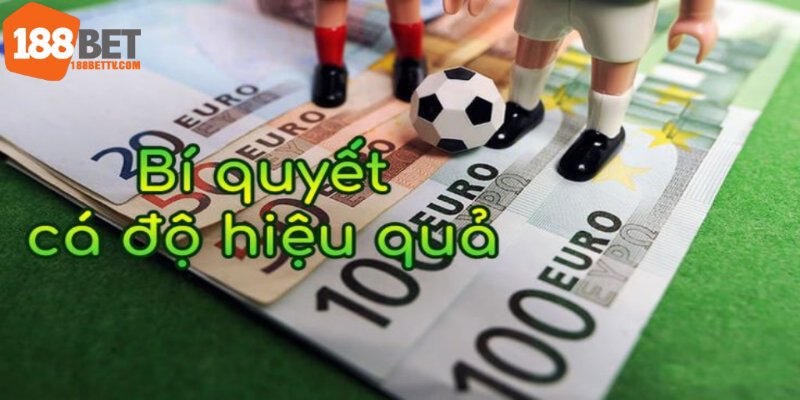 Đừng bỏ qua các khoản hẫu đãi nhằm tăng cơ hội trúng thưởng